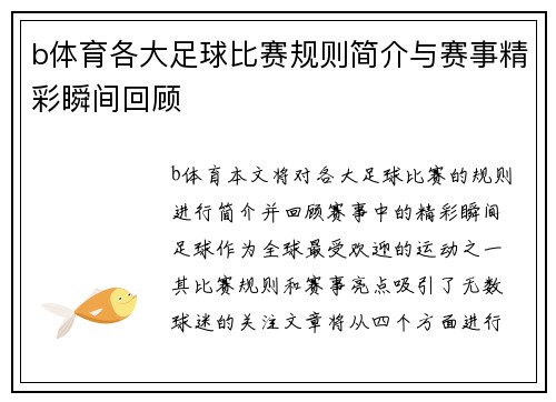 b体育各大足球比赛规则简介与赛事精彩瞬间回顾